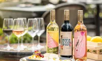 CinCin-Bianco-Wine-|-Burp-Bible